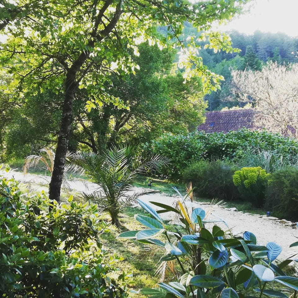 Garden, Garden view