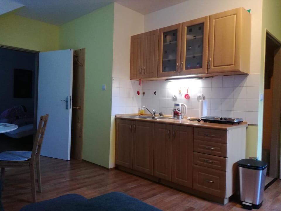 Apartmán Orbit Apartment in Czechia