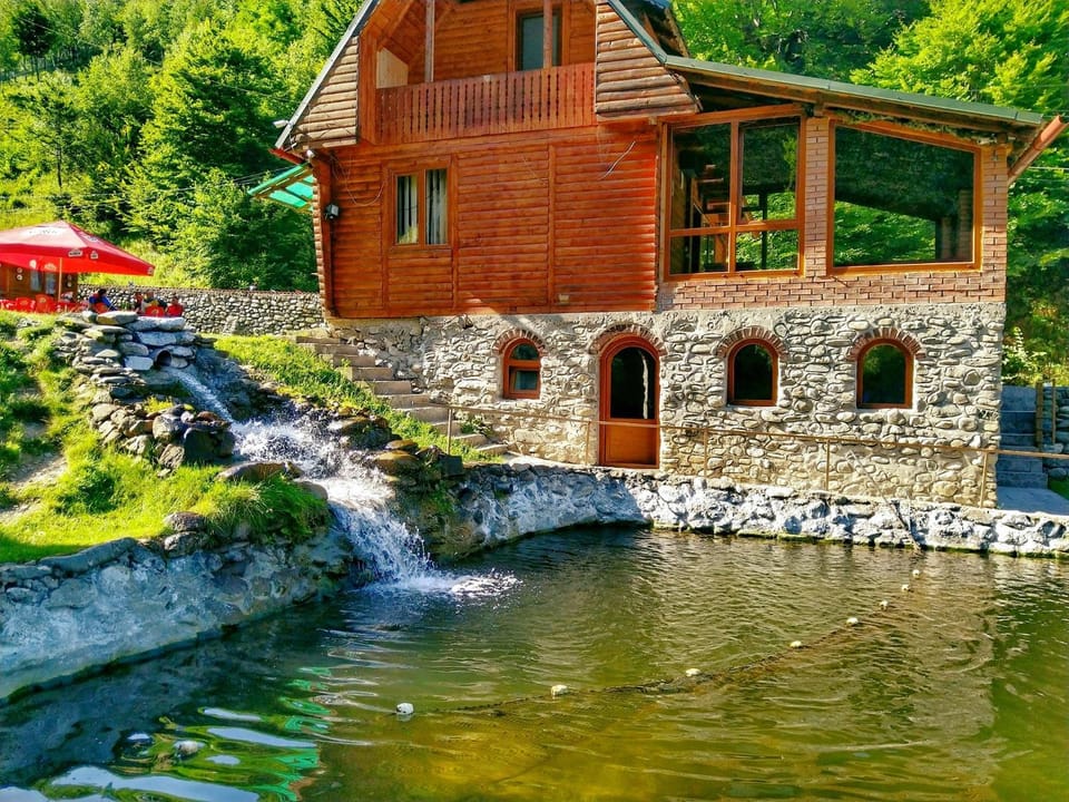 Lake view