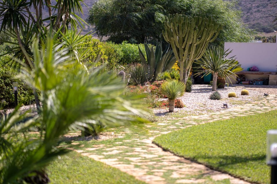 Garden view