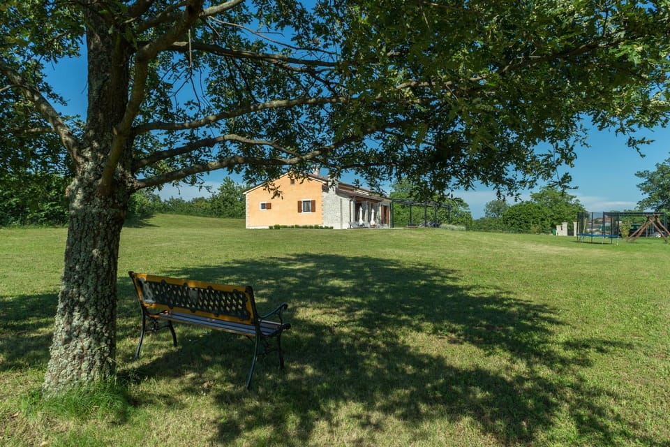 Neighbourhood, Natural landscape, Garden view