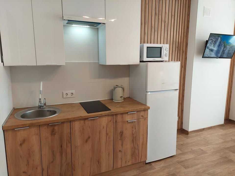 Kitchen or kitchenette, minibar, stove