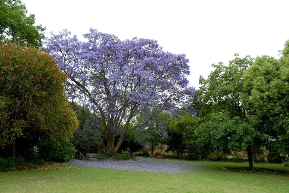 Garden, Garden view