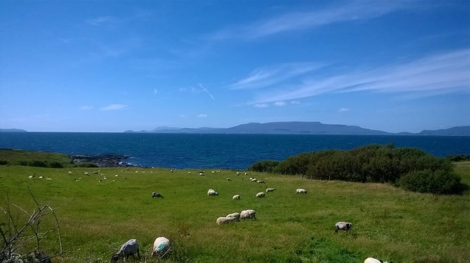 Natural landscape