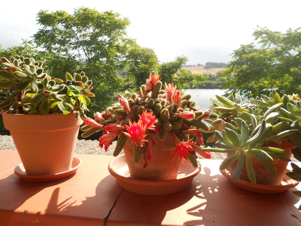 Balcony/Terrace, Other