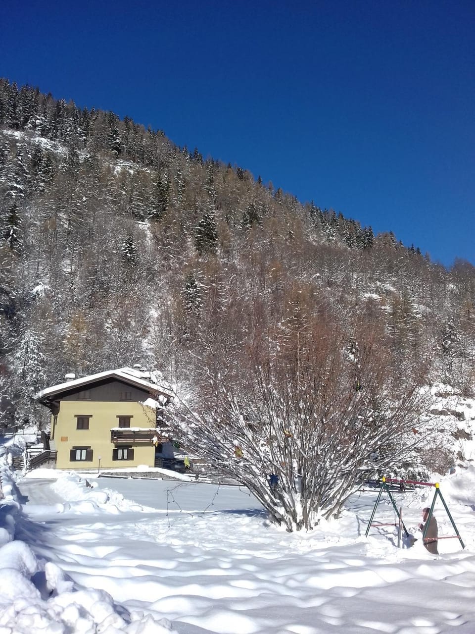 Property building, Winter