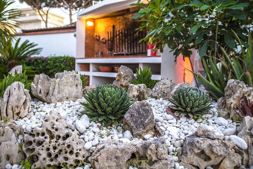 Patio, BBQ facilities
