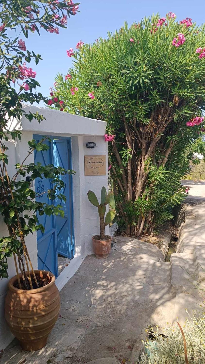 Property building, Garden, Garden view