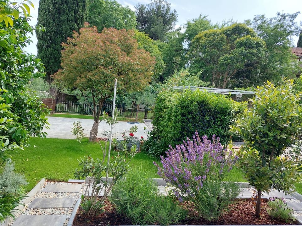 Garden, Garden view