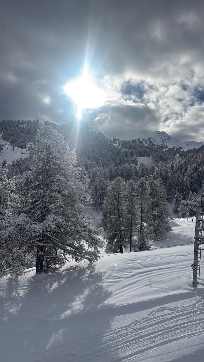 Duplex cosy jusqu'à 6 personnes- chalet des Pléiades - départ skis aux pieds en bordure de piste sans portage - au milieu des fleurs en été - l'autre duplex du chalet est également à nous Apartment in Piedmont