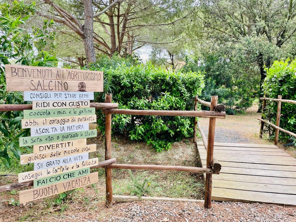 Logo/Certificate/Sign