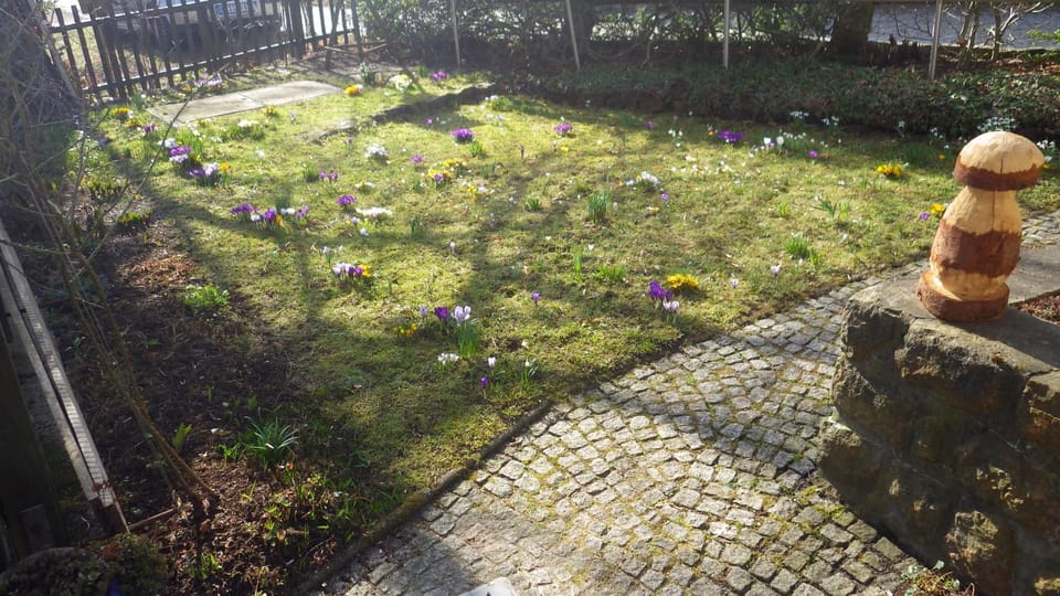 Spring
