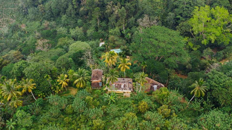 Natural landscape, View (from property/room), Mountain view