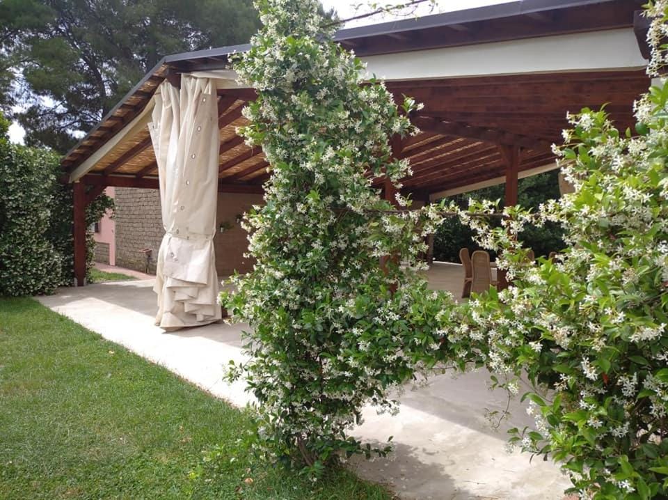 Patio, Restaurant/places to eat
