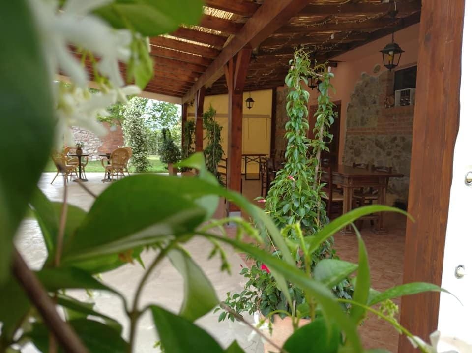 Patio, Restaurant/places to eat, Business facilities