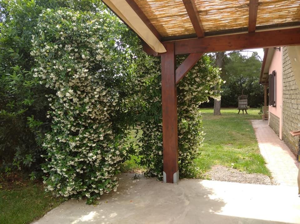 Patio, Garden view