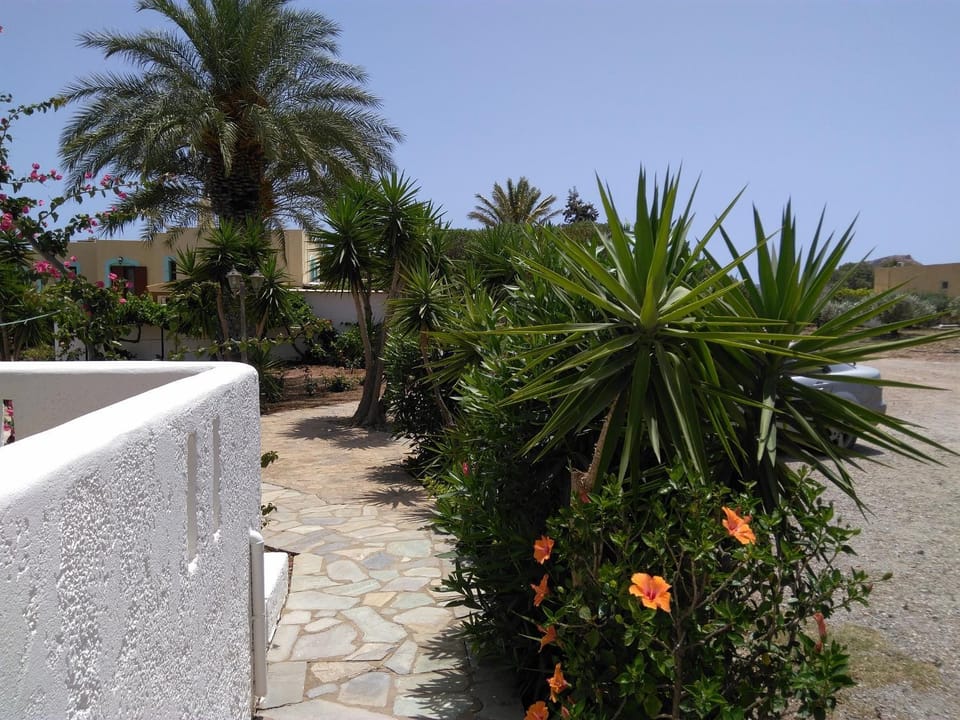 Garden, Balcony/Terrace, On site, Garden view