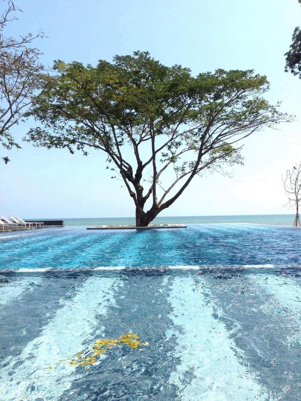 Beach, Swimming pool