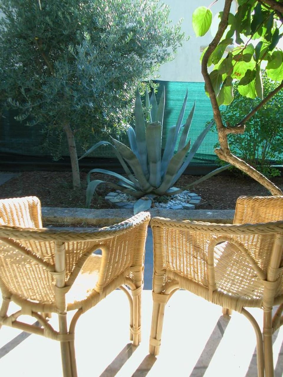 Garden, Balcony/Terrace