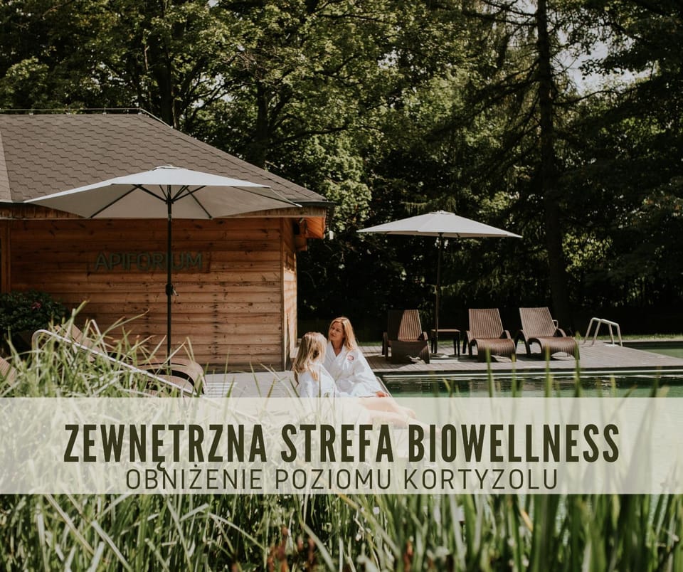 Hotel Dębowy Biowellness & SPA Góry Sowie Hotel in Lower Silesian Voivodeship