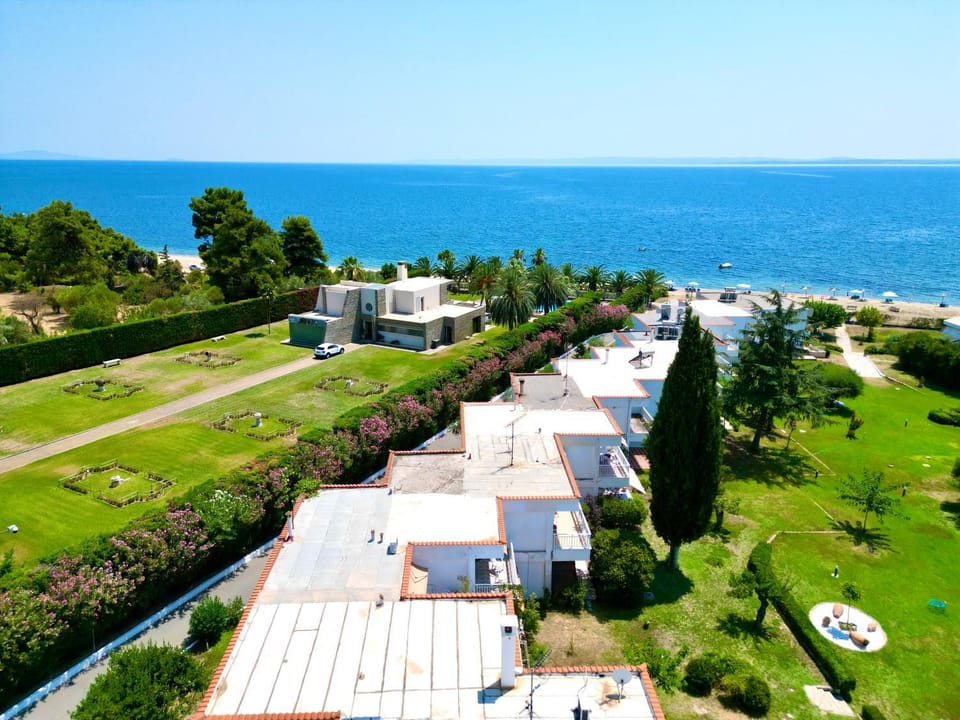 Bird's eye view, Location