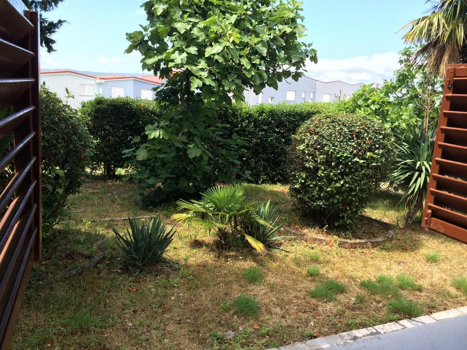Garden view