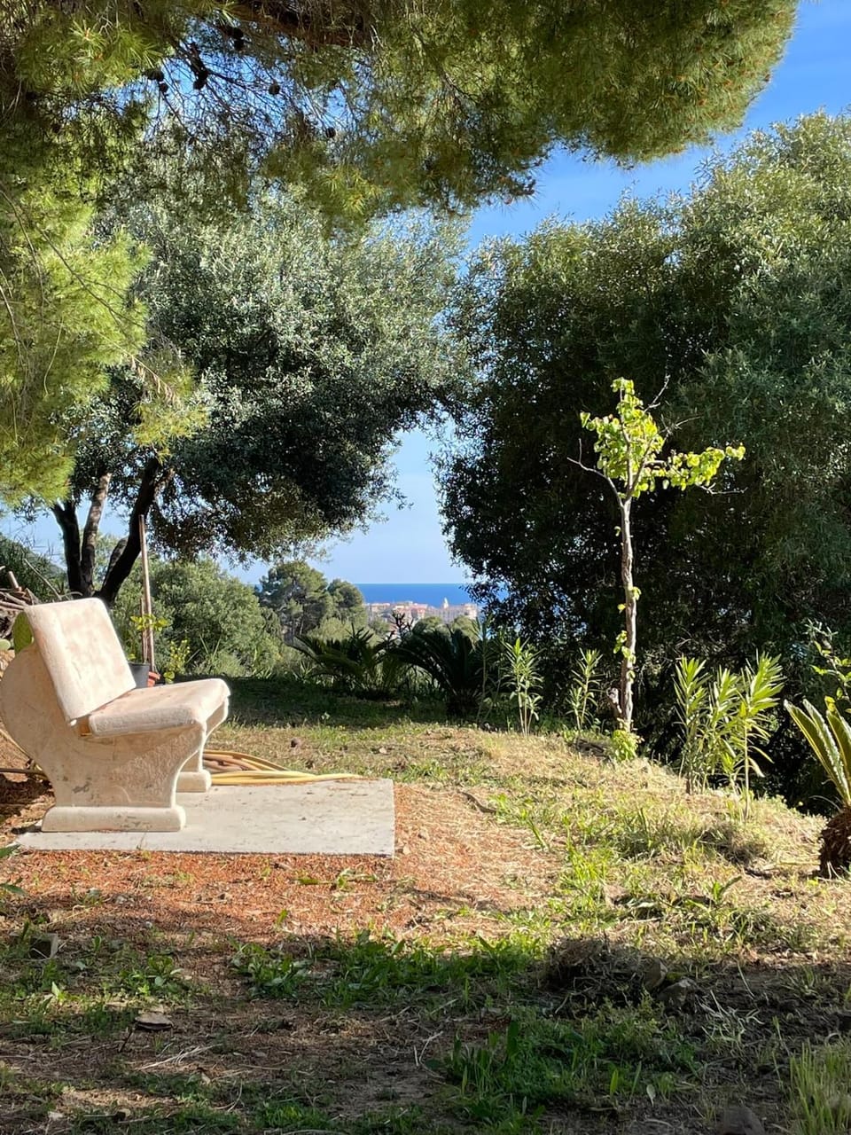 Natural landscape, Garden, Garden view, Sea view