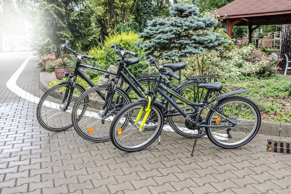 Cycling, Cycling