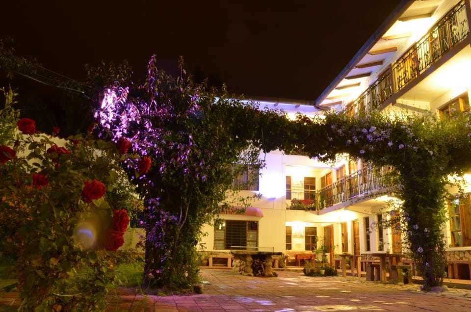 Property building, Patio, Night, Garden