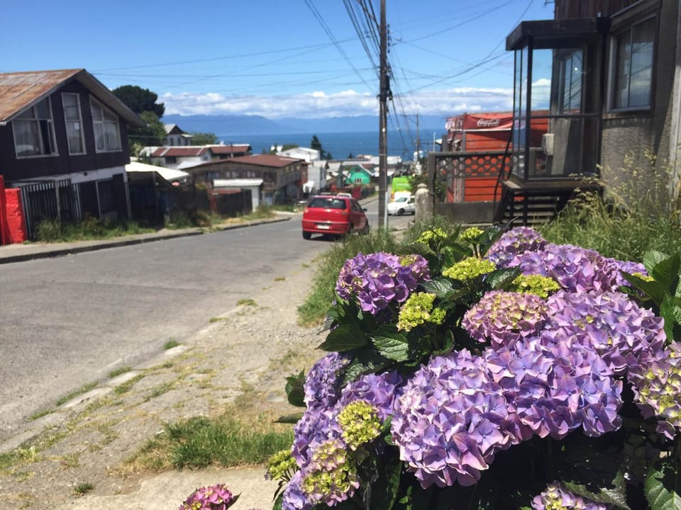 Spring, City view, Sea view, Street view, Location