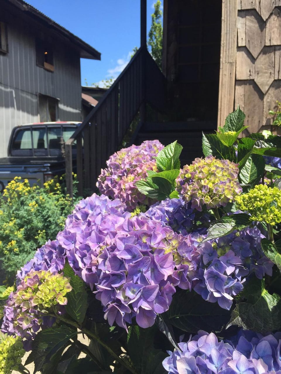 Spring, Garden, Garden view