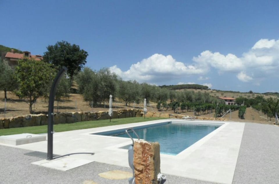 Swimming pool, Swimming pool