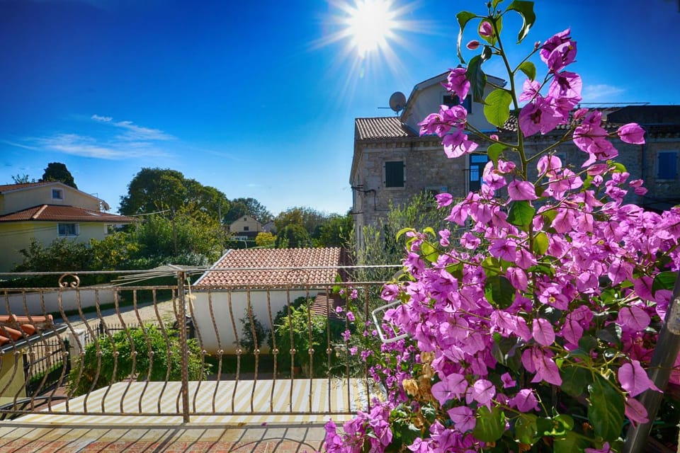 Balcony/Terrace, Garden view