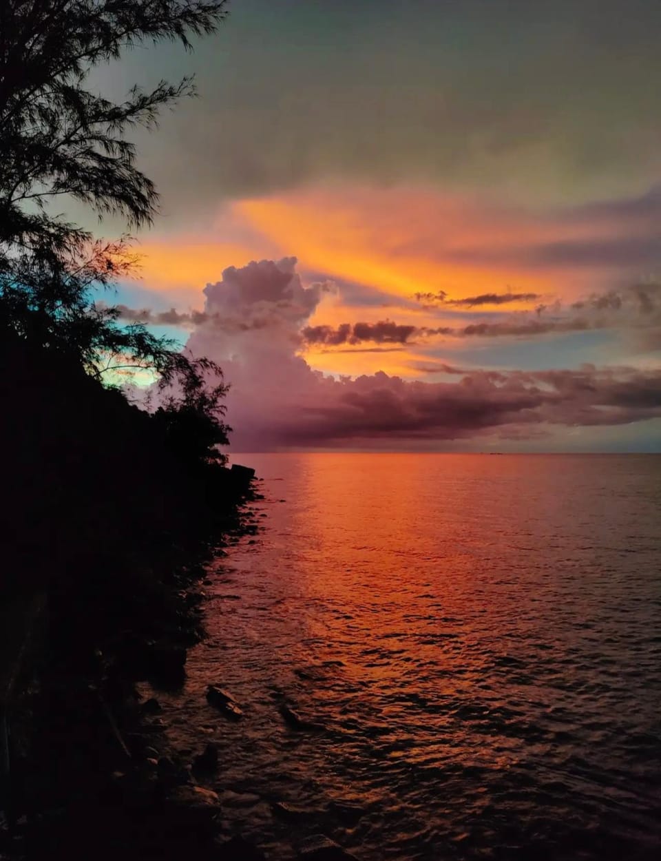 Natural landscape, Sea view, Sunset