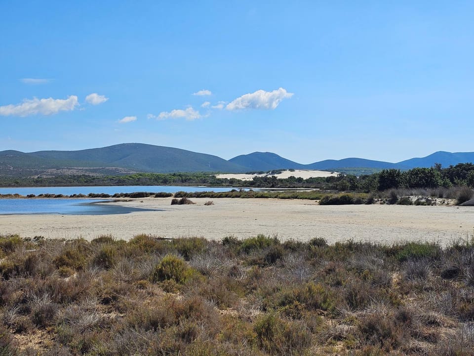 Agriturismo Is Solinas Bed and Breakfast in Sardinia