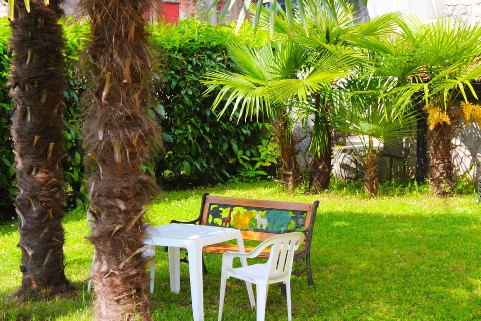 Spring, Off site, Garden, Sunrise