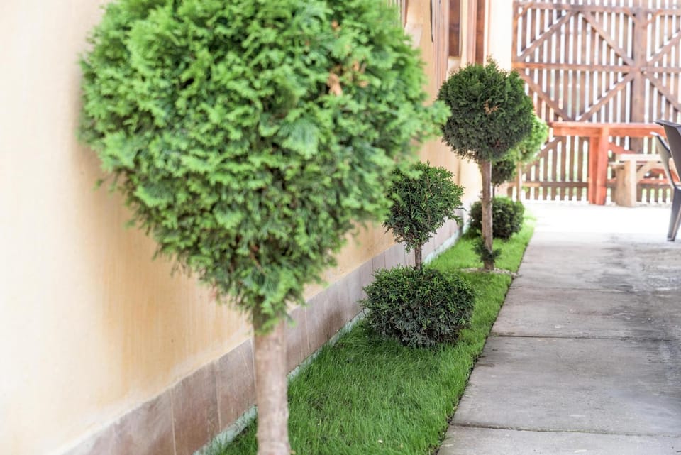 Facade/entrance, Garden, Garden view