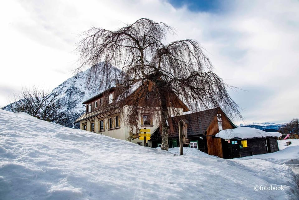 Gasthof Dachsteinblick Apartment in Upper Austria