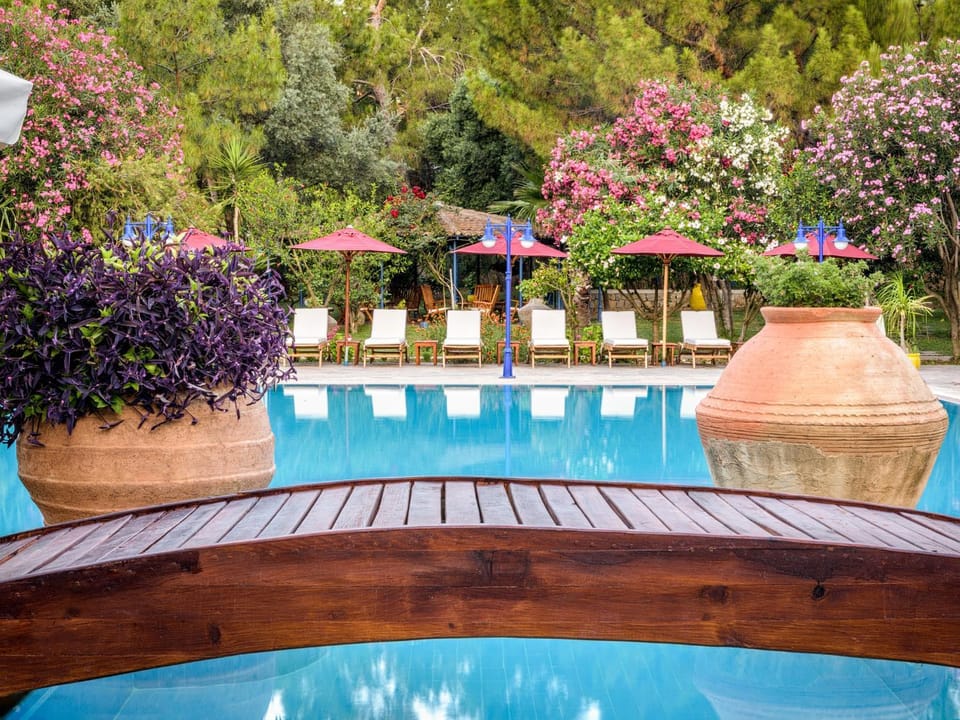 Garden, Swimming pool