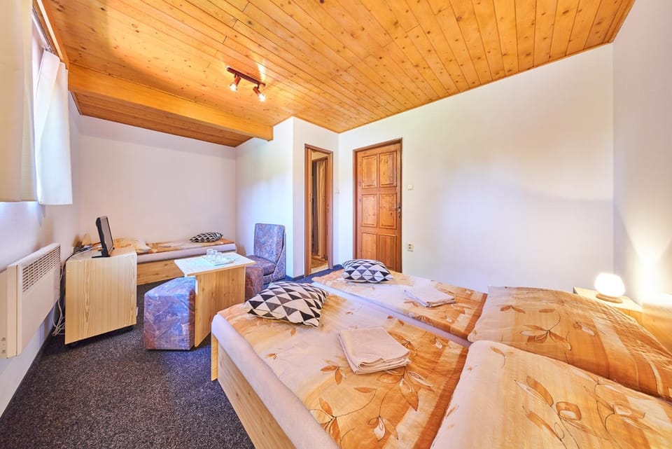 Penzion Pod Lesem Bed and Breakfast in Lower Silesian Voivodeship