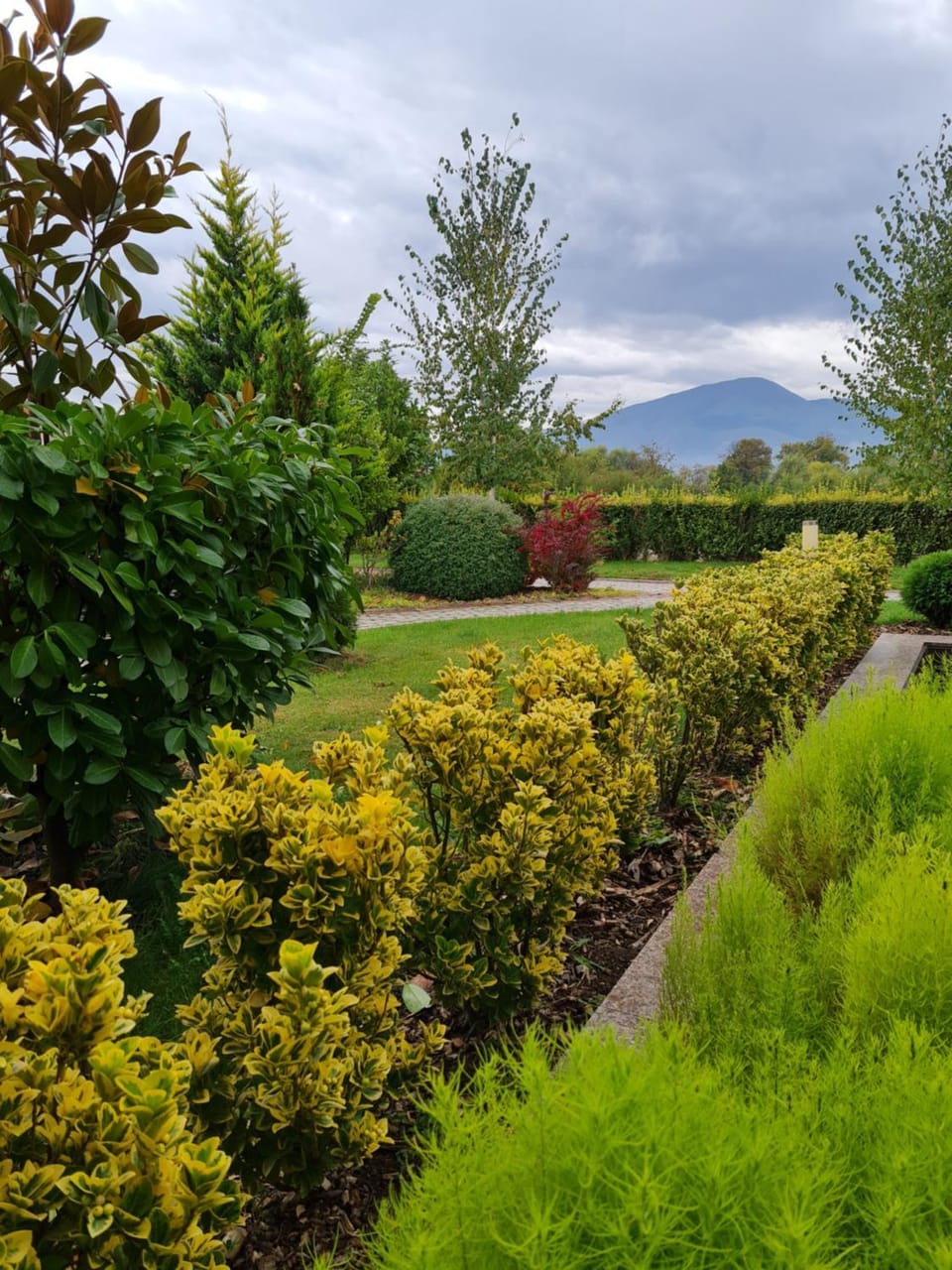 Garden view