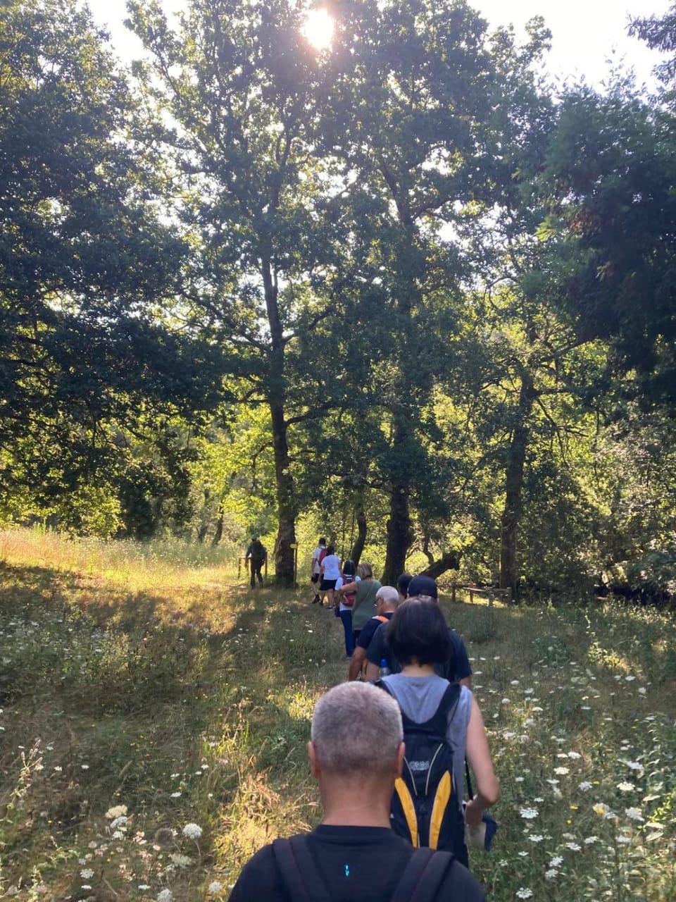 Hiking