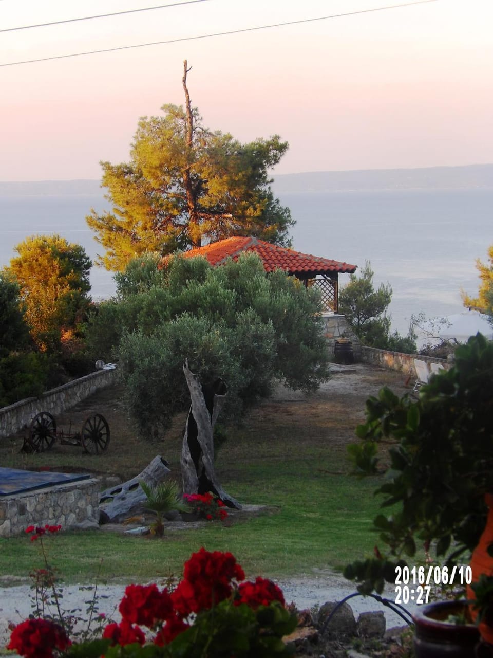 Natural landscape, Garden, Sea view, Sunset