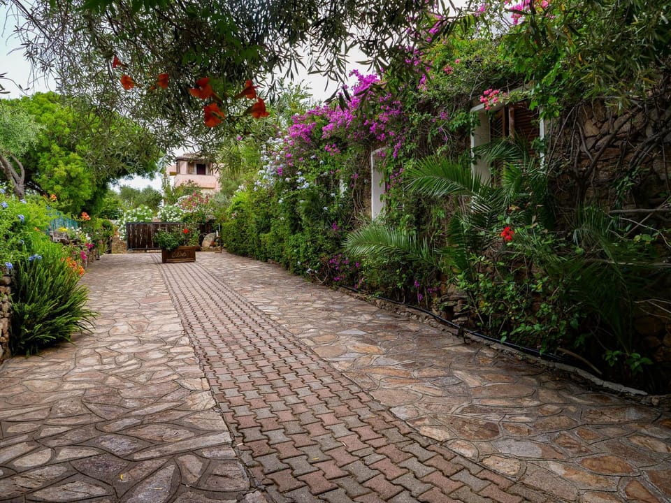 Residence L'Ulivo House in Sardinia