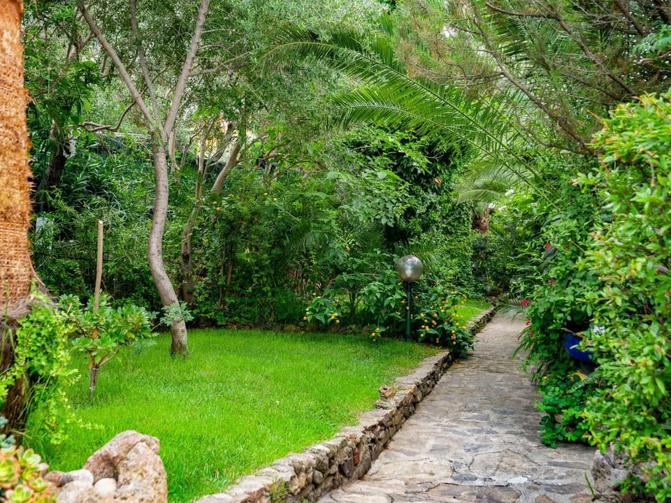 Residence L'Ulivo House in Sardinia