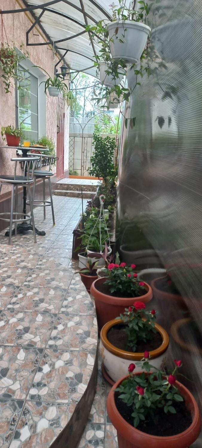 Inner courtyard view