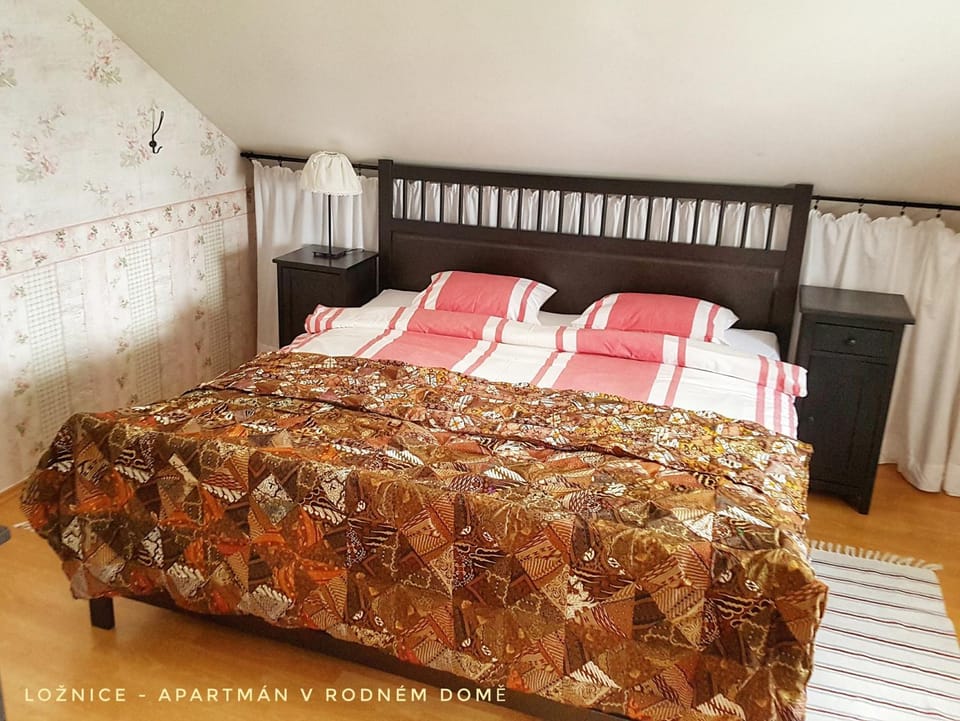 Apartmá v Rodném domě Vincenze Priessnitze v centru lázní Apartment in Lower Silesian Voivodeship