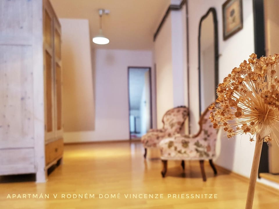 Apartmá v Rodném domě Vincenze Priessnitze v centru lázní Apartment in Lower Silesian Voivodeship