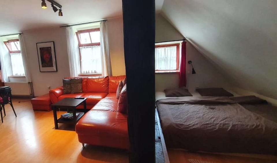 Apartmá v Rodném domě Vincenze Priessnitze v centru lázní Apartment in Lower Silesian Voivodeship
