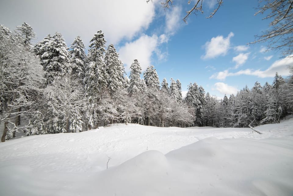 Winter
